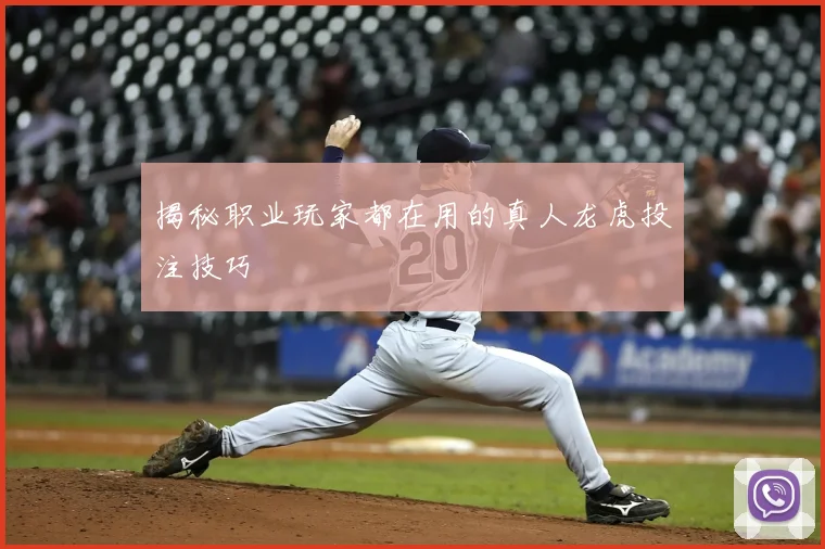 揭秘职业玩家都在用的真人龙虎投注技巧