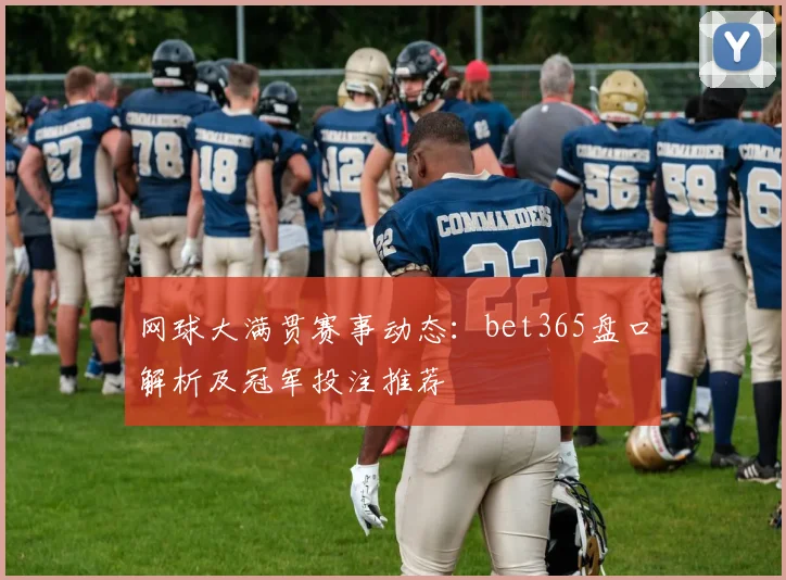 网球大满贯赛事动态：bet365盘口解析及冠军投注推荐