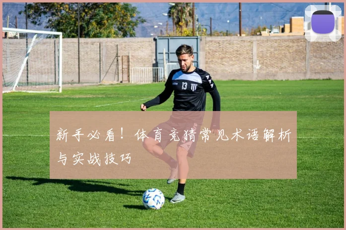 新手必看！体育竞猜常见术语解析与实战技巧