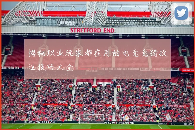 揭秘职业玩家都在用的电竞竞猜投注技巧大全