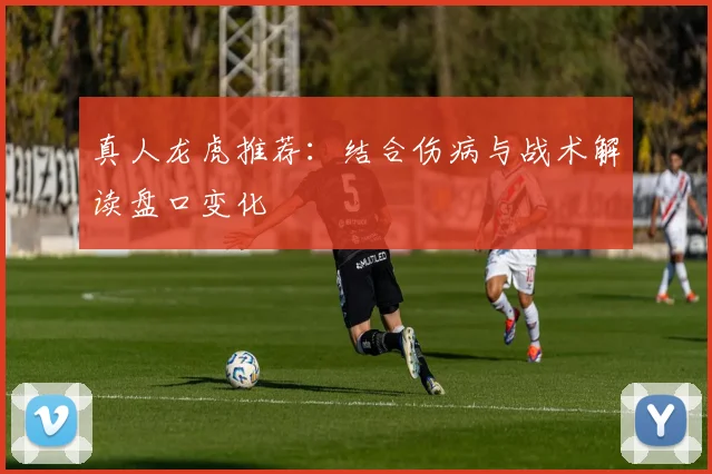 真人龙虎推荐：结合伤病与战术解读盘口变化