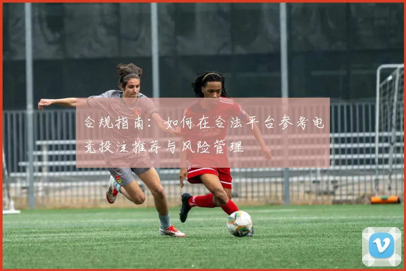合规指南：如何在合法平台参考电竞投注推荐与风险管理