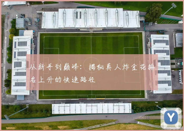 从新手到巅峰：揭秘真人炸金花排名上升的快速路径