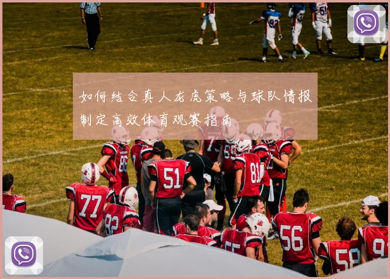 如何结合真人龙虎策略与球队情报制定高效体育观赛指南
